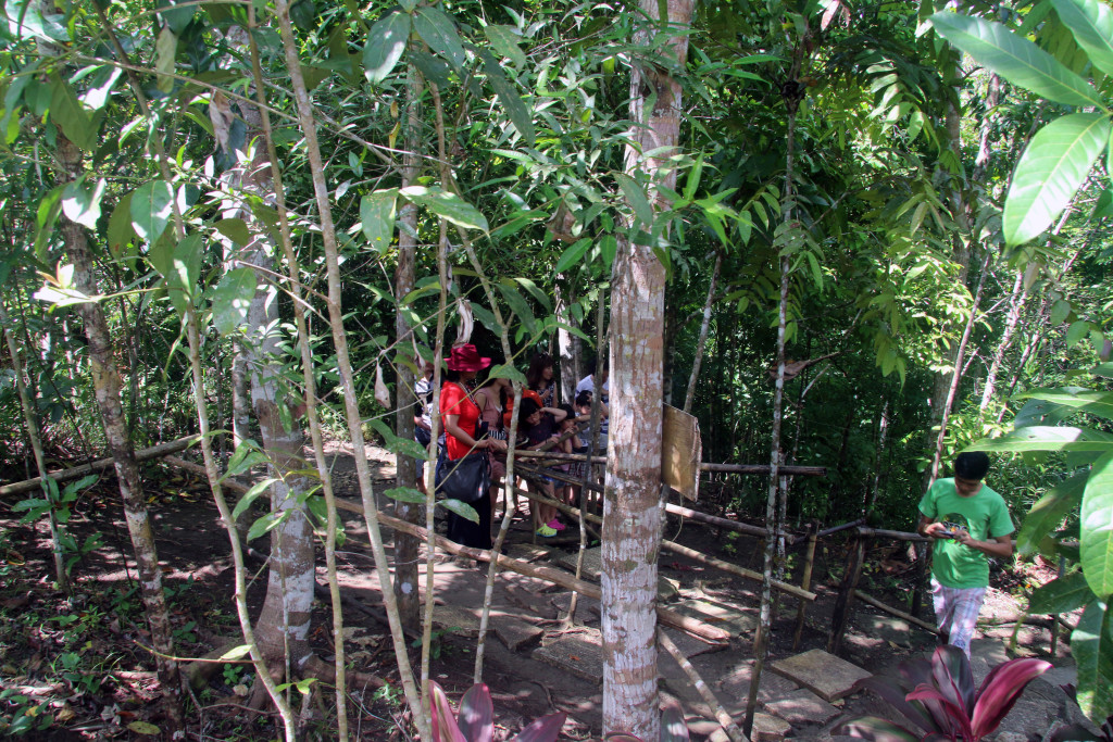 Tarsier Conservation Area Bohol