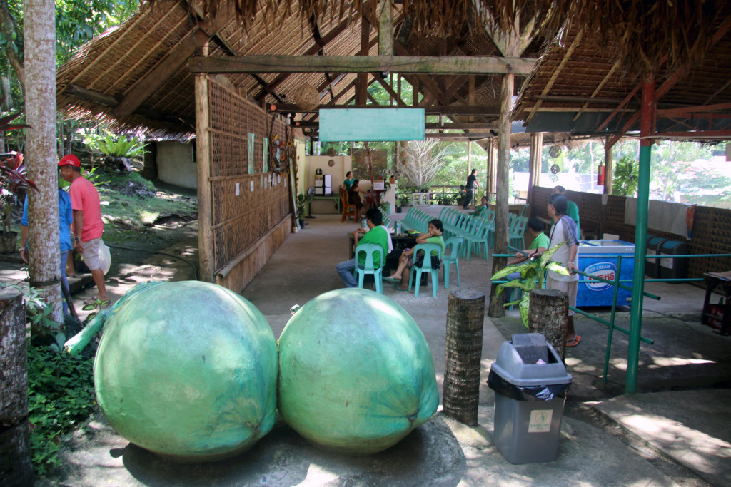 Tarsier Conservation Area, Bohol