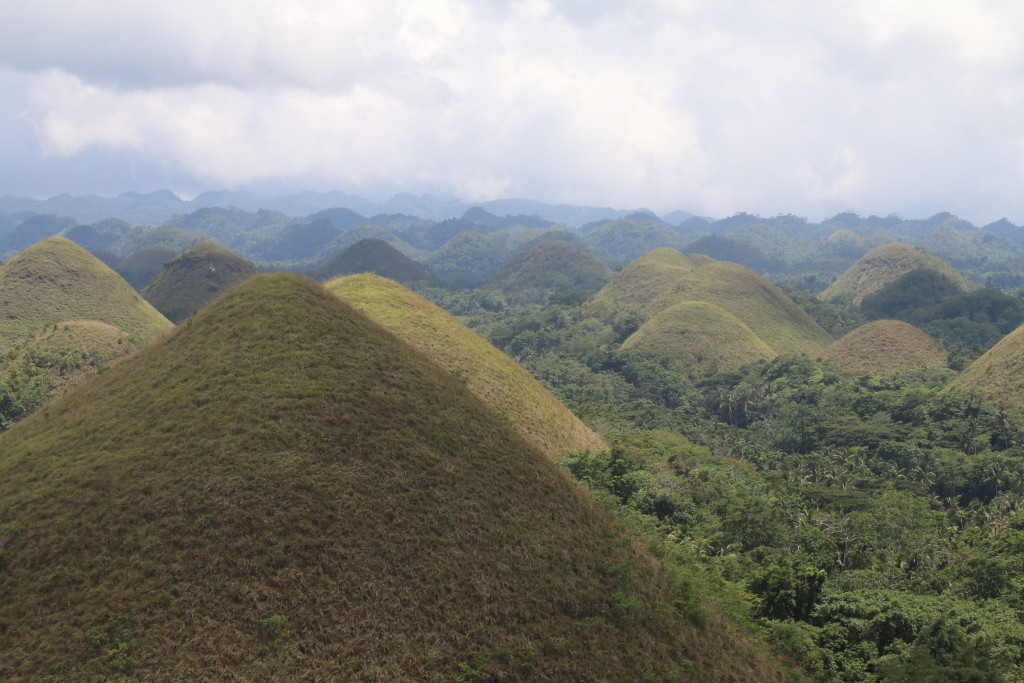 Chocolate Hills